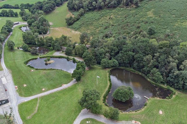 Hidden Valley Sporting, Carmarthen photo 3