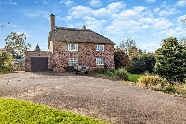 Driveway/Garage