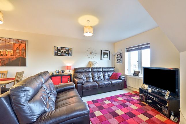 42, Milton Keynes photo 2