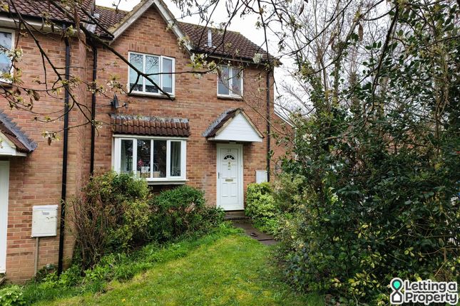 Thumbnail Semi-detached house to rent in Badbury Drive, Blandford Forum, Dorset