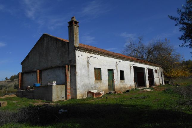 Farm for sale in Castelo Branco, Ladoeiro, Idanha-A-Nova, Castelo Branco, Central Portugal