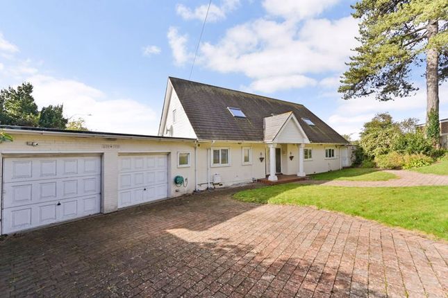 Thumbnail Detached bungalow for sale in Cannongate Road, Hythe