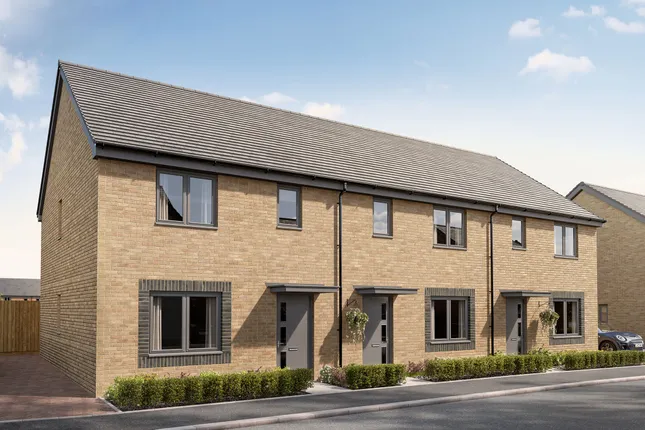 Persimmon Homes - Mulberry Park
