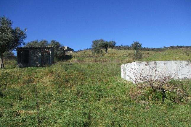Land for sale in Nisa, Portalegre, Alentejo, Portugal