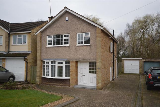 Thumbnail Detached house to rent in Lubbesthorpe Road, Leicester