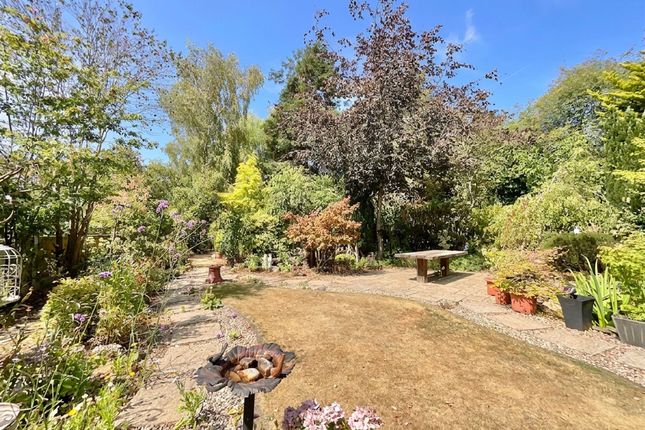 The Byre Crofters Meadow, Market Drayton photo 4