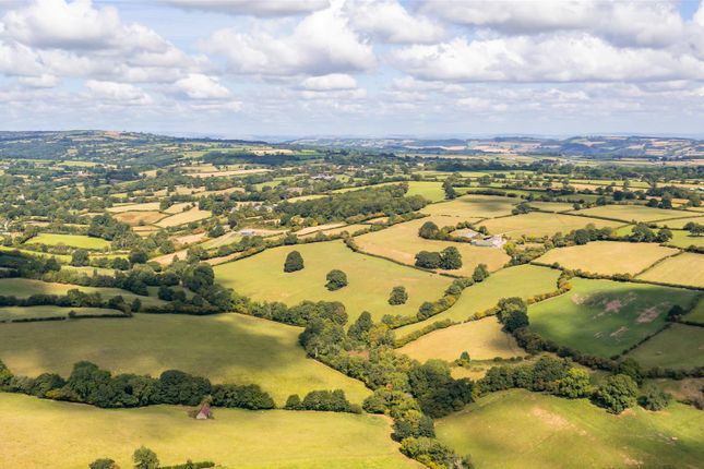 Thumbnail Land for sale in Newton St. Margarets, Hereford