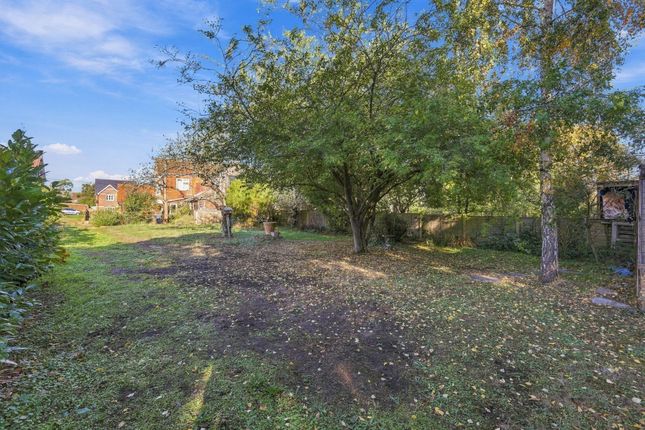 3 Old Barrack Road, Woodbridge photo 4