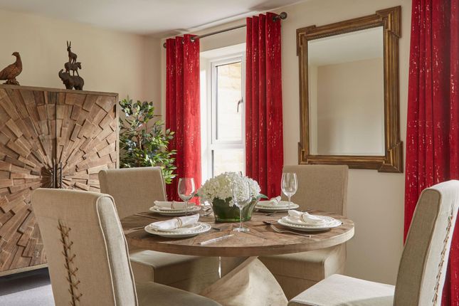 Radford House, Exeter photo 3