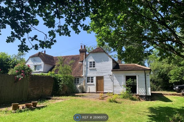 View From The Garden