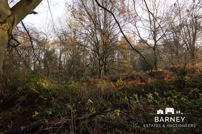 Land for sale in Redhill Road, Cobham