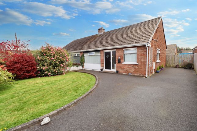 Thumbnail Bungalow for sale in Canberra Gardens, Dundonald, Belfast, County Antrim