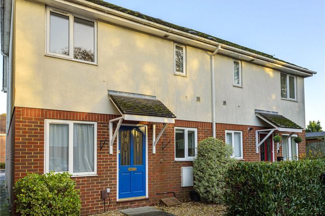 Thumbnail Semi-detached house to rent in Kings Road, Petersfield, Hampshire