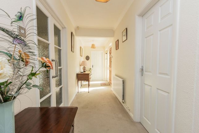 11, Oakfield, Cranbrook photo 4