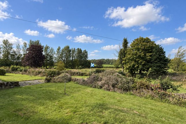 Peatland Farm, Kilmarnock photo 2