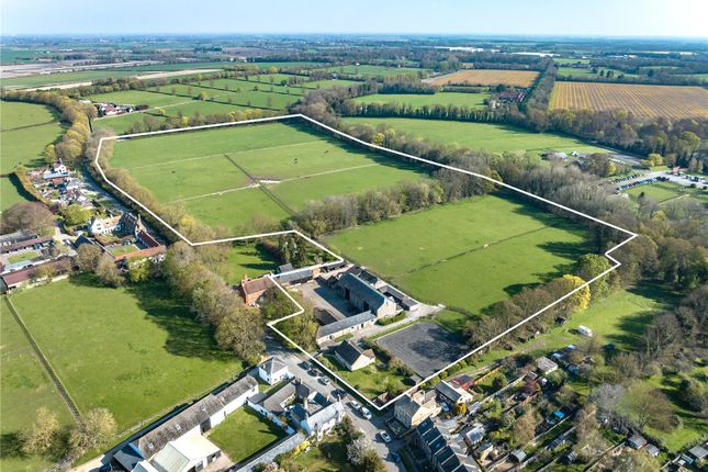 Thumbnail Land to rent in Rose Hall Stables, Exning, Newmarket, Suffolk