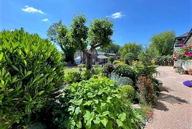 Sandown, Gill Lane, Preston photo 4