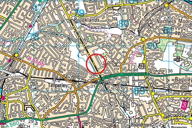 Town Plan