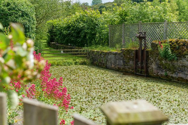 The Water Mill, Bradbourne, Ashbourne photo 3