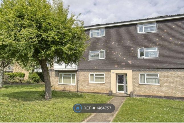 2 bed flat to rent in Banks Walk, Bury St. Edmunds IP33