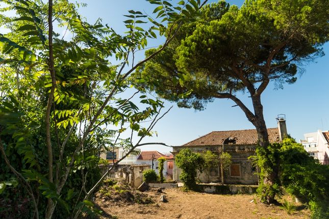 Land for sale in Quinta Das Flores, Sesimbra (Castelo), Sesimbra, Setúbal (District), Alentejo, Portugal