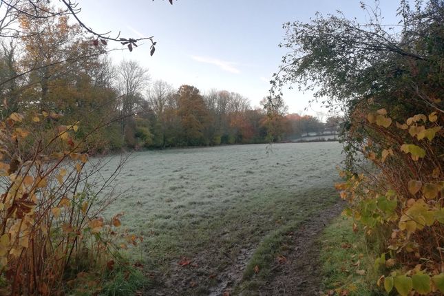 Studio house on Room 1 Havod, Medway Drive, East Grinstead, £750/mo