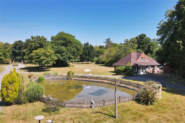Detached house for sale in Powdermill Lane, Battle, East Sussex