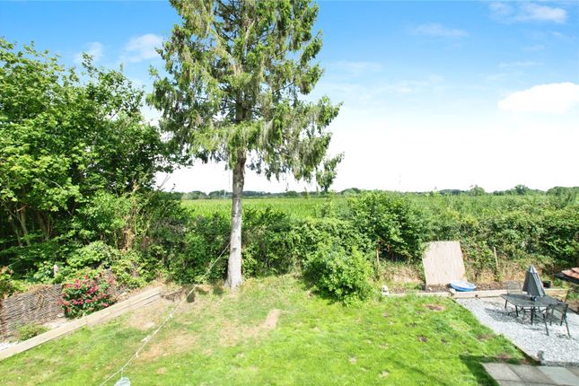 1 Harriets Gift Cottage,, Grange, Dorset photo 4
