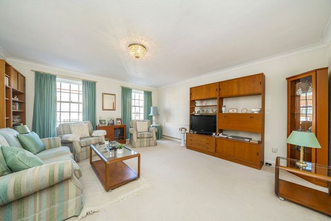 Pine Grove, London photo 2