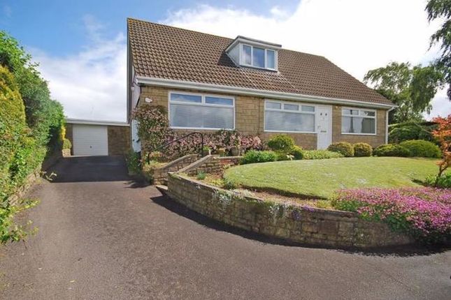 Thumbnail Detached bungalow for sale in Outstanding Bungalow, High Cross Drive, Rogerstone