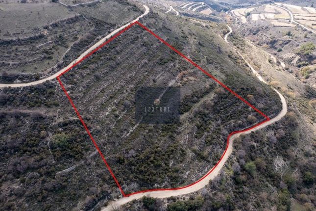Thumbnail Land for sale in Arsos 4770, Cyprus