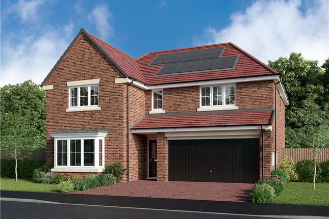 Thumbnail Detached house for sale in "The Denford" at Mulberry Rise, Hartlepool