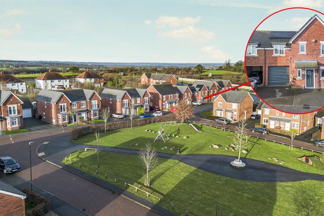 6, Hewer Drive, Swadlincote photo 4