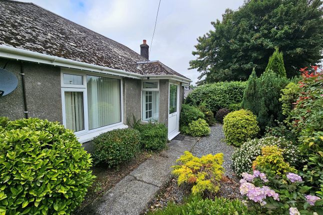 Front Garden.Jpg