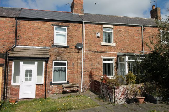 Terraced house to rent in Edward Street, Hetton Le Hole, Houghton-Le-Spring