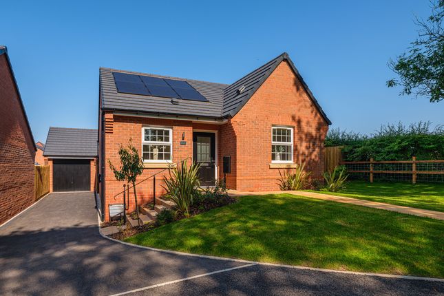 Bungalows At Olive Park