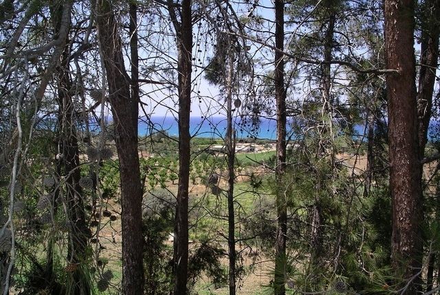 Land for sale in Gialia, Cyprus