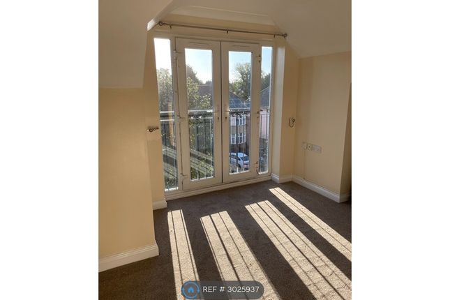 Curzon Lane, Alvaston, Derby photo 4