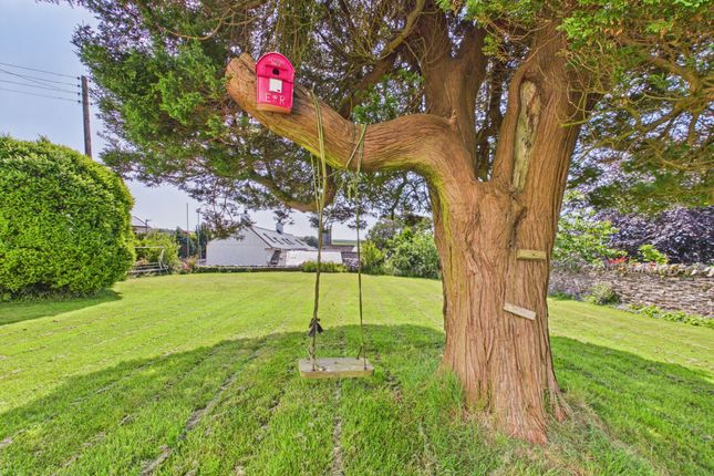 Churchtown Farm, Looe photo 3