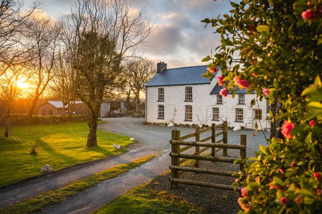 Llanddinog Old Farmhouse, Haverfordwest photo 4