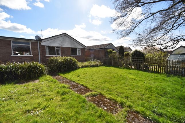 24, Back Lane, Malpas photo 4