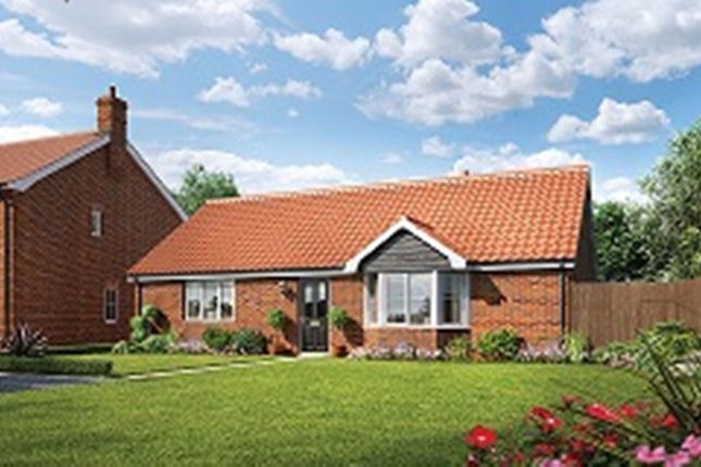 Detached bungalow for sale in Fordham Road, Soham, Ely