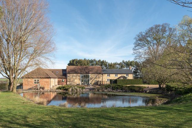 Thumbnail Detached house for sale in Lodge Farm, Shelton, Bedfordshire