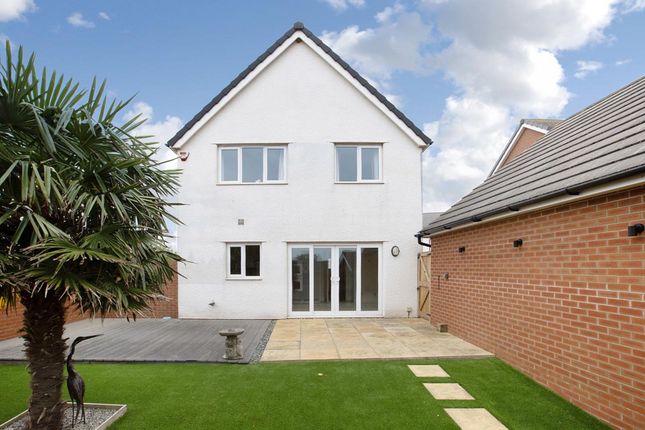 29 Kestrel Way, Dawlish photo 4