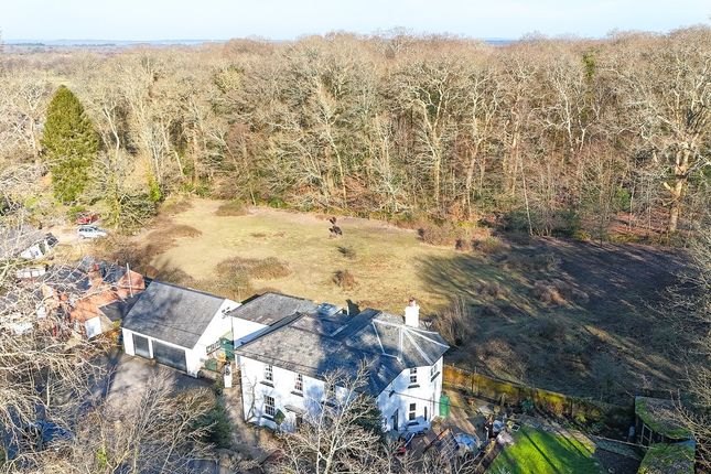 Clayhill House, Clay Hill, Lyndhurst photo 3