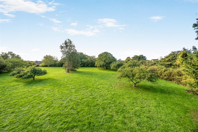 North Cheriton, Templecombe photo 3
