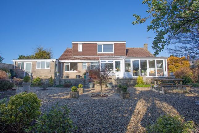 Thumbnail Detached bungalow for sale in High Street, Curry Rivel, Langport