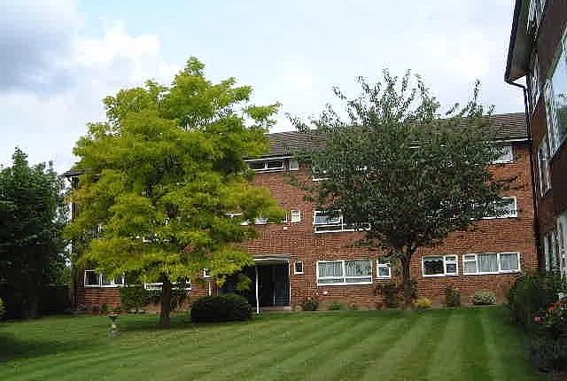 Front Shot (Main)