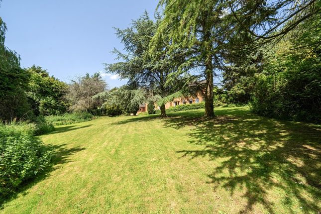 Long Close,, Uppingham Road, Oakham photo 3