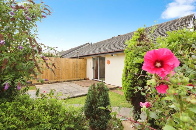 5, Skern Way, Bideford photo 2